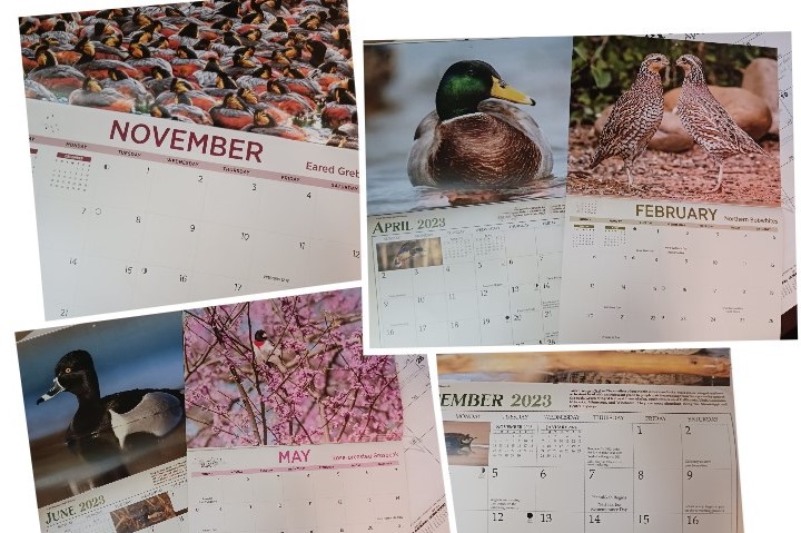Custom Calendars and Holiday Cards created for you by GK Printing